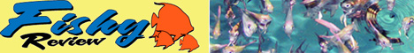 Fishy Review